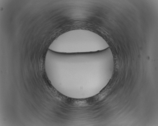 X0000073750283200608171339