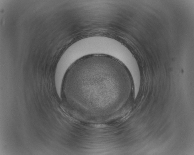 X0000073750284200608171339