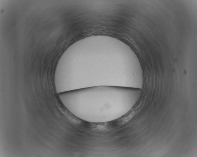 X0000073750285200608171339