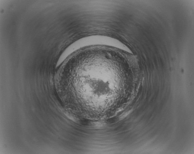 X0000073750286200608171339