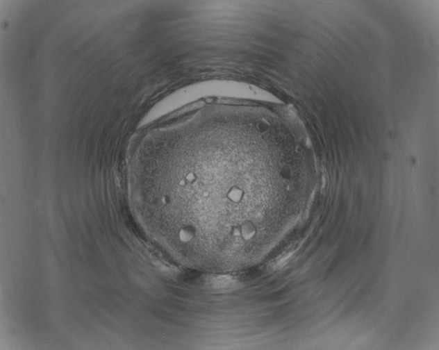 X0000073750287200608171339