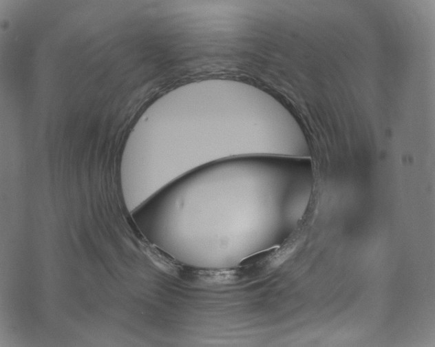 X0000073750288200608171339