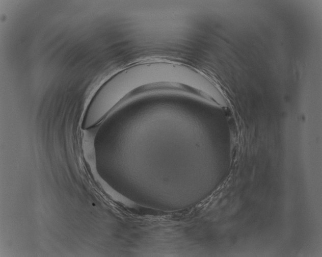 X0000073750289200608171338