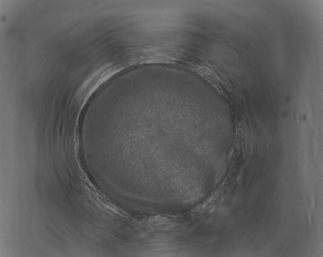 X0000073750290200608171338