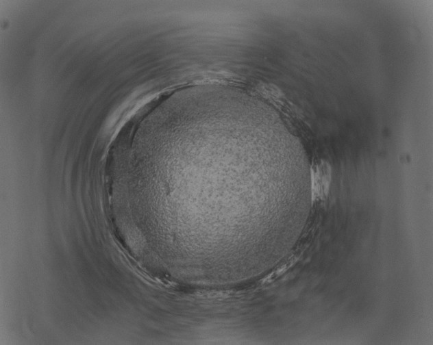 X0000073750291200608171338