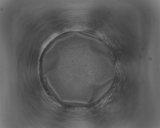 X0000073750292200608171338