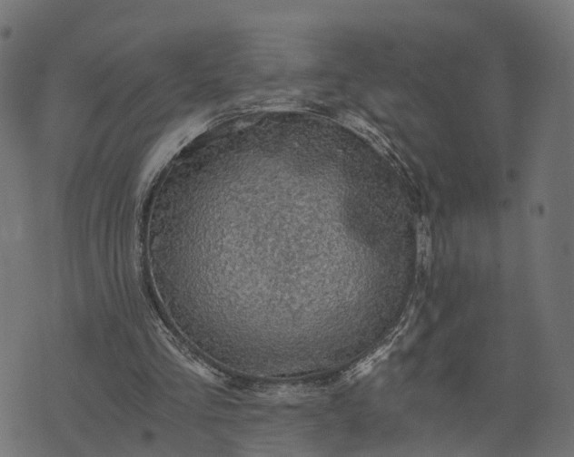 X0000073750293200608171338