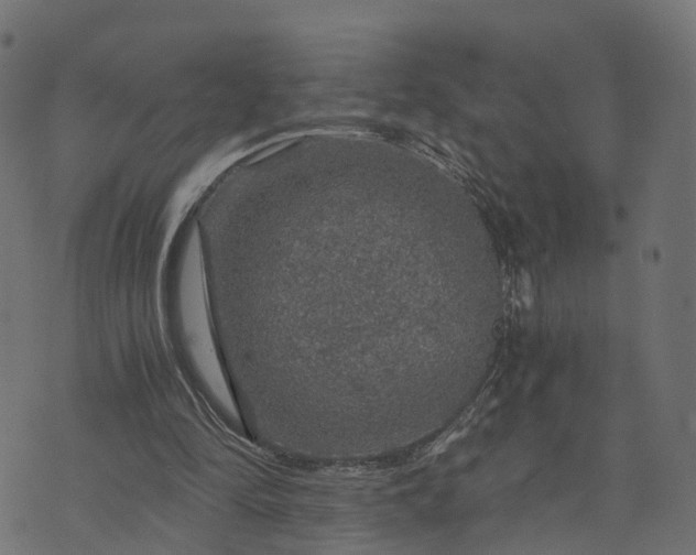 X0000073750294200608171338