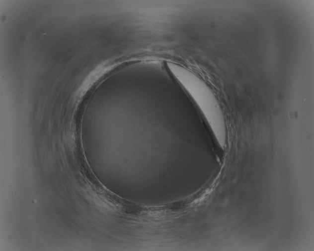 X0000073750295200608171338