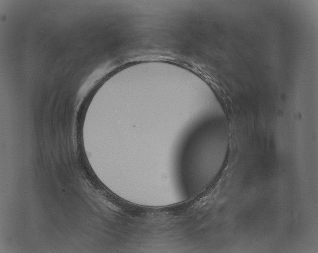 X0000073750296200608171338