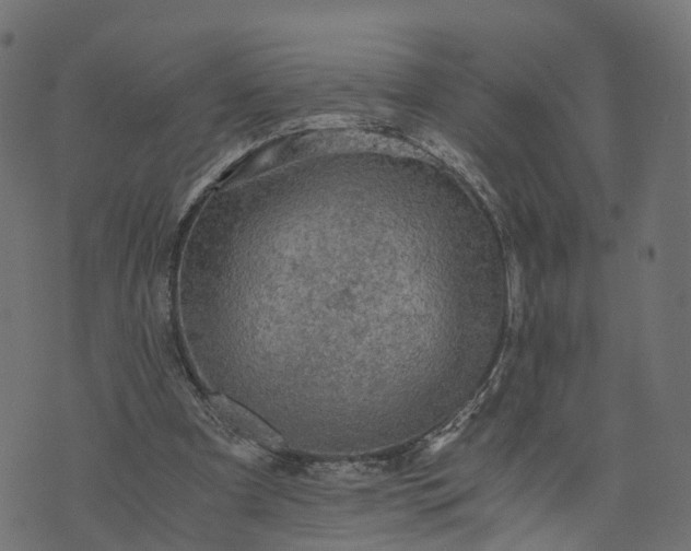 X0000073750297200608171338