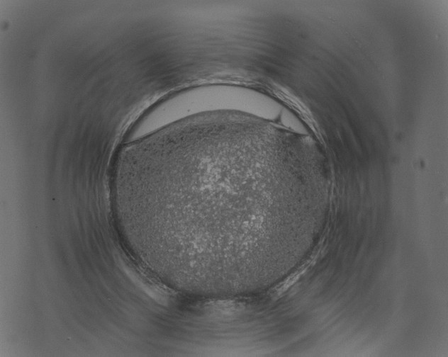 X0000073750298200608171338