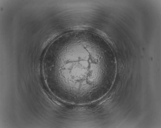 X0000073750299200608171338