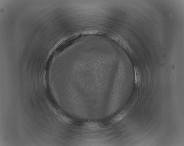 X0000073750300200608171338