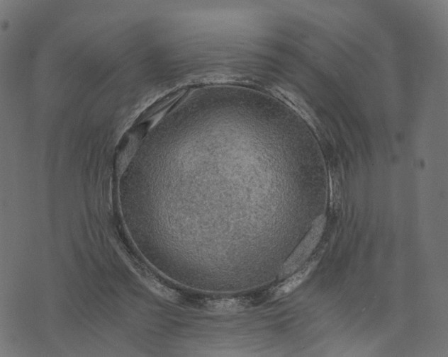 X0000073750301200608171338