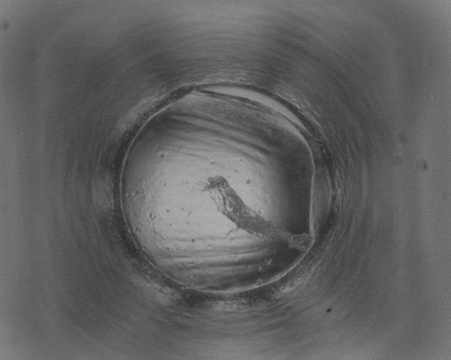 X0000073750303200608171338