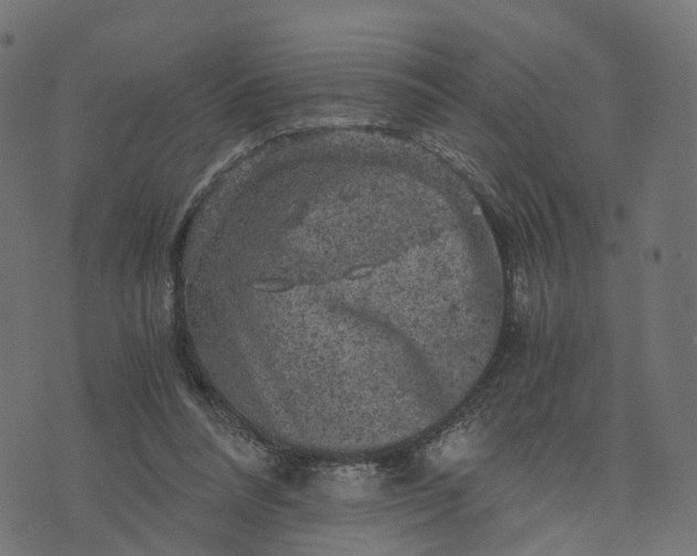 X0000073750304200608171338