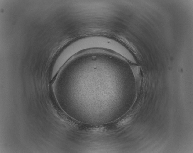 X0000073750306200608171338