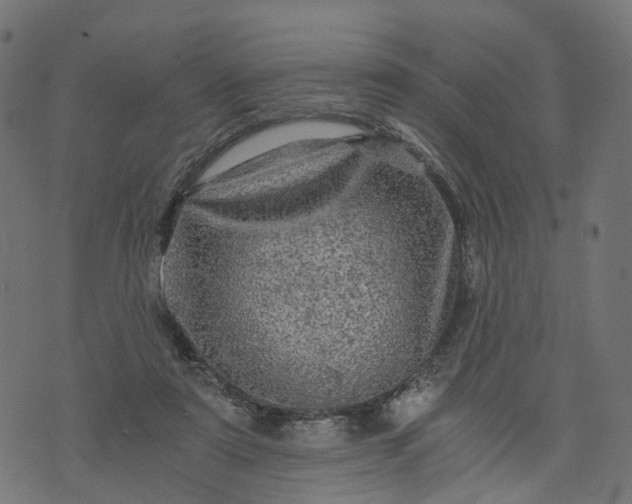 X0000073750307200608171338