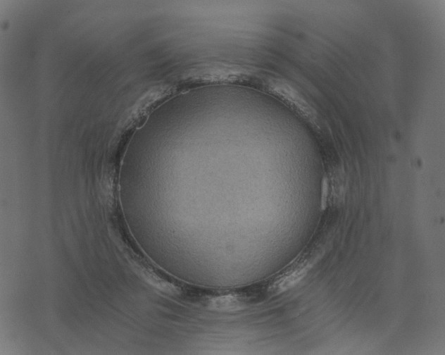 X0000073750309200608171338