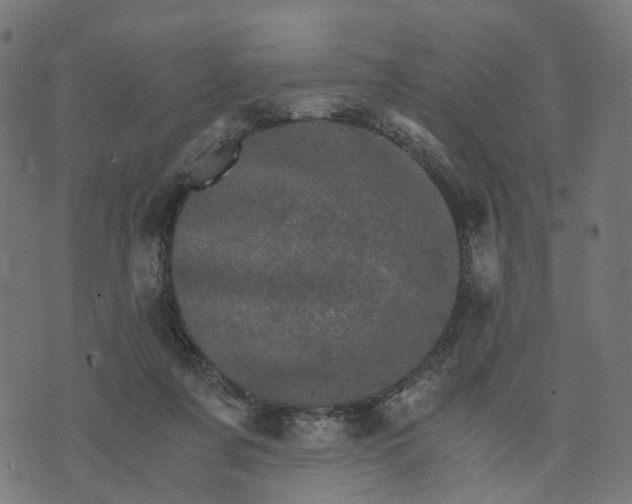 X0000073750311200608171338