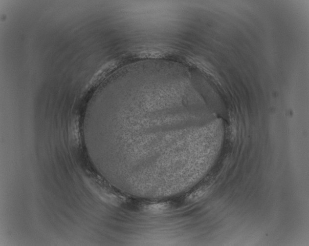 X0000073750312200608171338