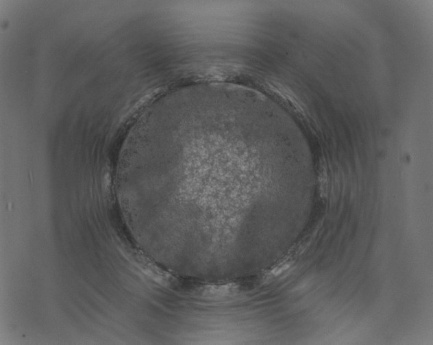 X0000073750314200608171338