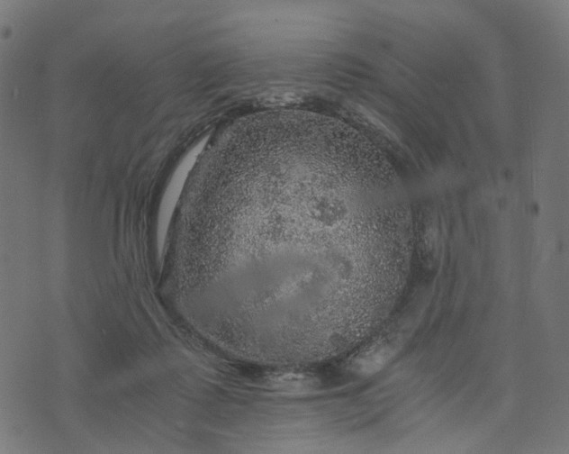 X0000073750315200608171338