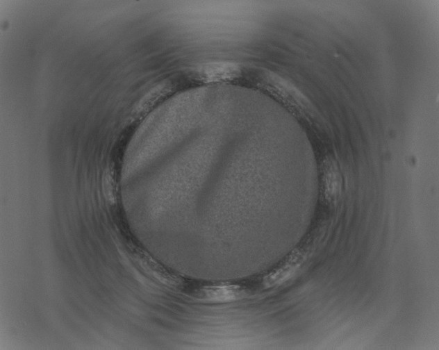 X0000073750316200608171338