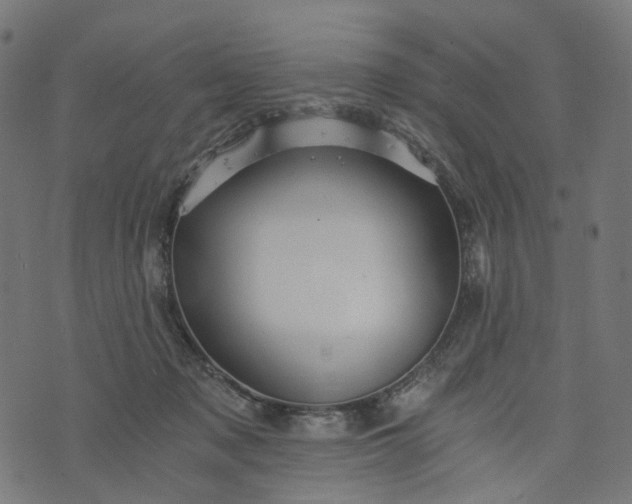 X0000073750317200608171338