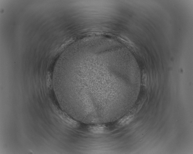 X0000073750318200608171338