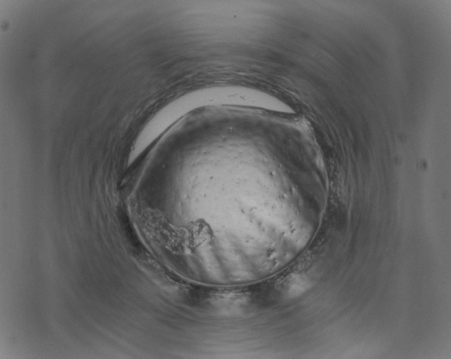 X0000073750319200608171338