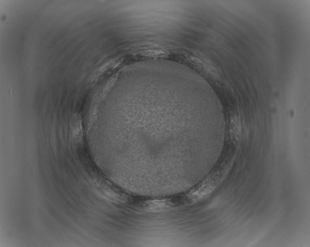 X0000073750320200608171338