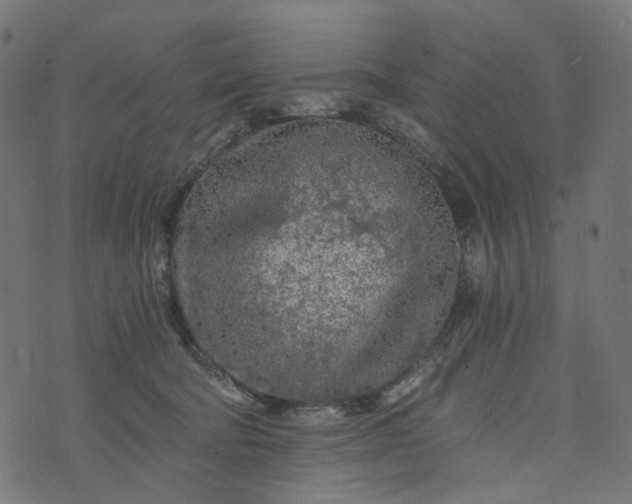 X0000073750322200608171338