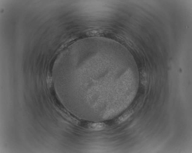 X0000073750324200608171338