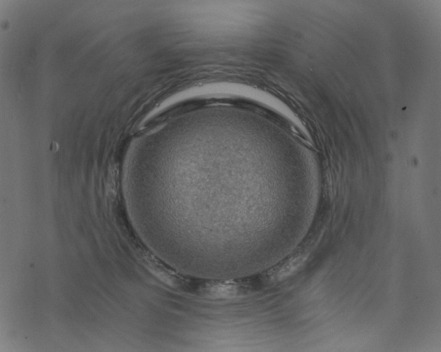 X0000073750325200608171338