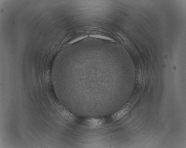 X0000073750326200608171337