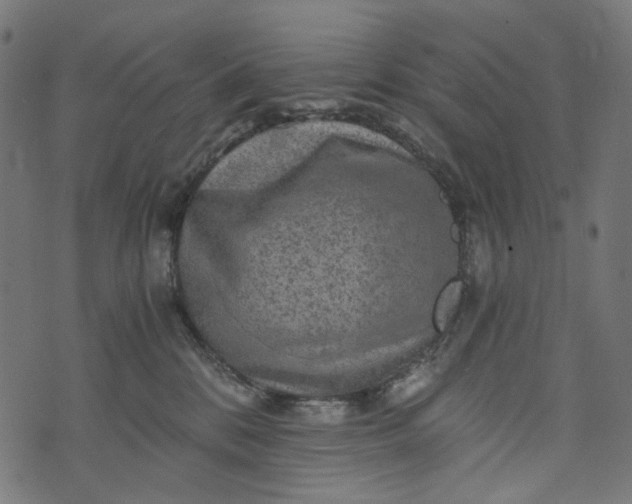 X0000073750328200608171337