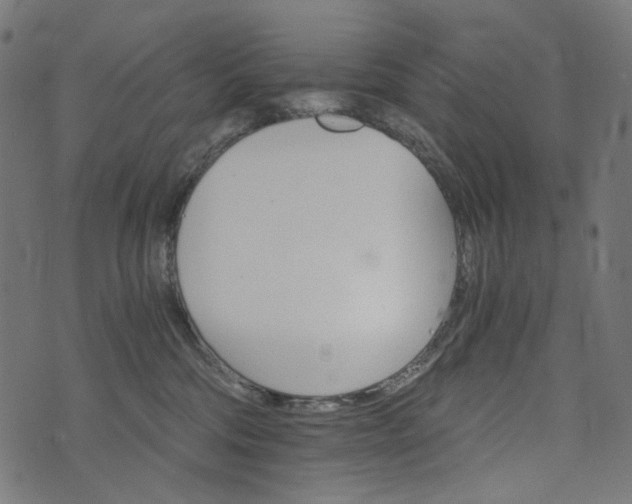 X0000073750330200608171337