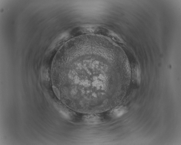 X0000073750331200608171337