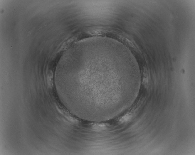 X0000073750332200608171337