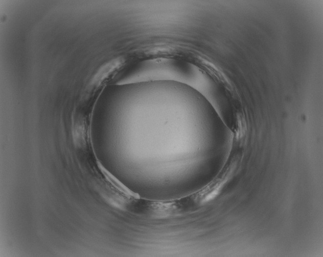 X0000073750333200608171337