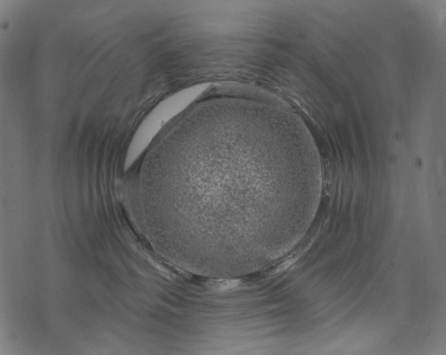 X0000073750334200608171337