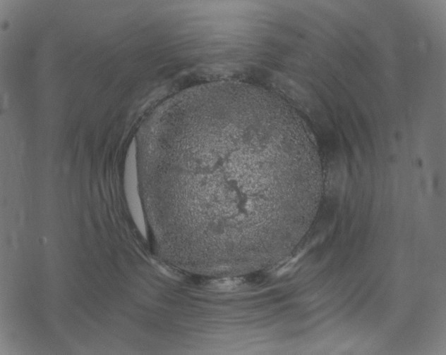 X0000073750335200608171337