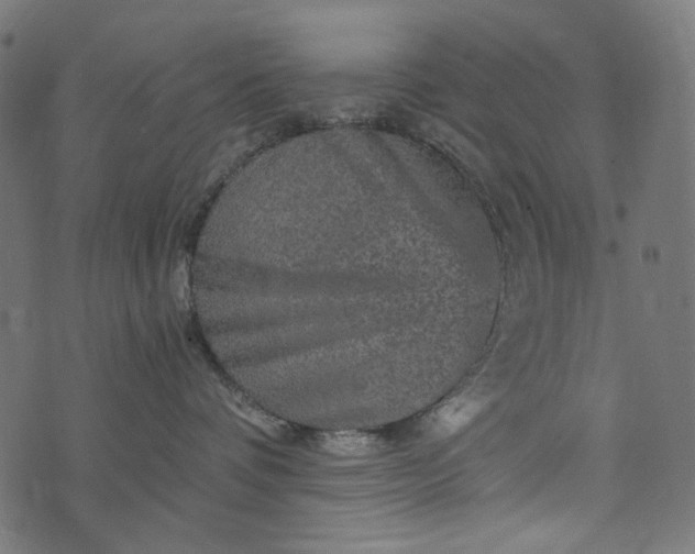 X0000073750336200608171337