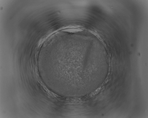 X0000073750337200608171337