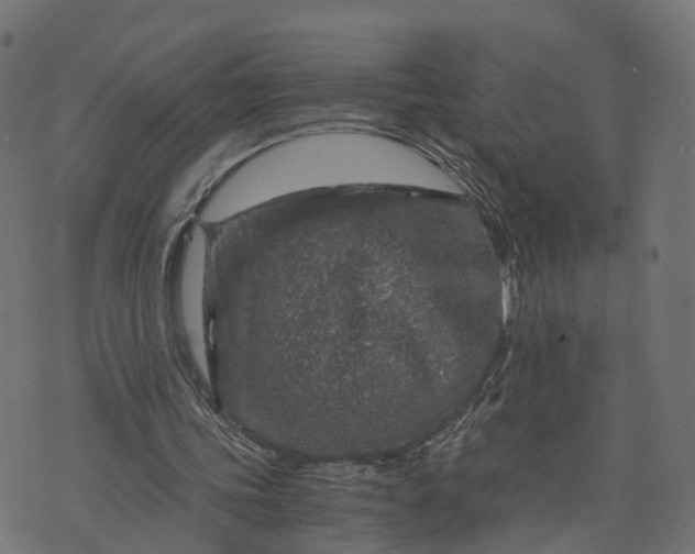 X0000073750339200608171337