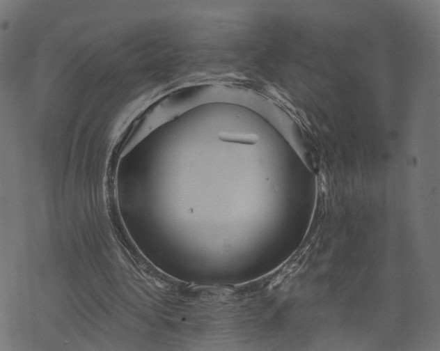 X0000073750340200608171337