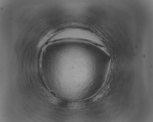 X0000073750341200608171337