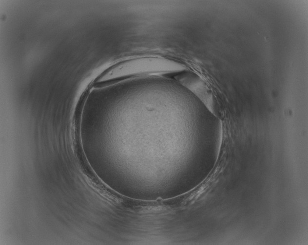 X0000073750342200608171337